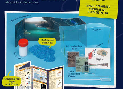 KOSMOS 654160 - Fun Scienc, Wuselnde Salzkrebse, Urzeit, Experimentierkasten