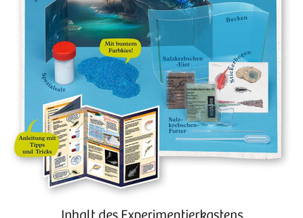 KOSMOS 654160 - Fun Scienc, Wuselnde Salzkrebse, Urzeit, Experimentierkasten