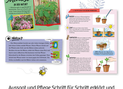 Mimosen-Garten - Alarm auf deiner Fensterbank - Experimentierkasten