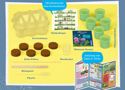 Mimosen-Garten - Alarm auf deiner Fensterbank - Experimentierkasten
