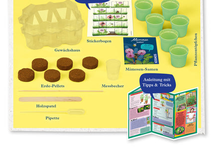 Mimosen-Garten - Alarm auf deiner Fensterbank - Experimentierkasten