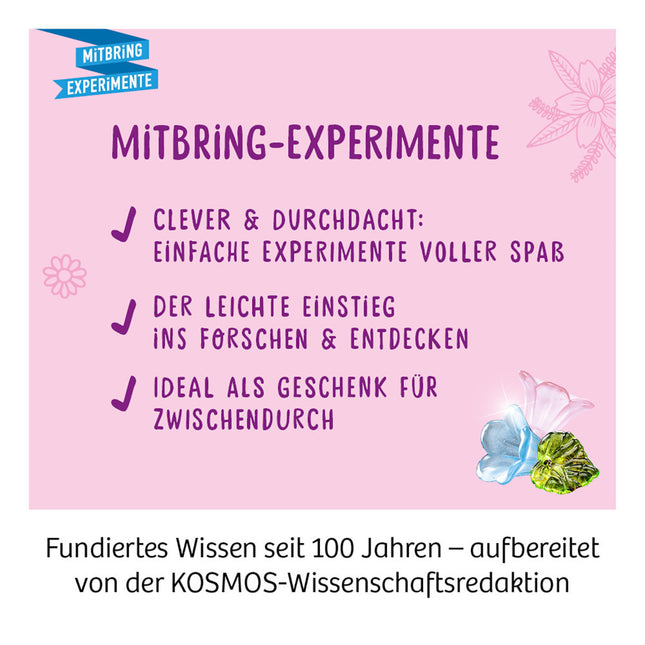 Feen-Schatz (Ausgrabungs-Set mit Werkzeug) - Experimentierkasten