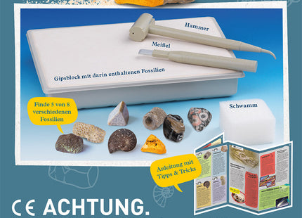 KOSMOS Fossilien – Ausgrabungs-Set ab 7 Jahren – Verpackungsrückseite mit Werkzeugen und möglichen Fossilien