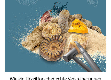 KOSMOS Fossilien – Ausgrabungs-Set ab 7 Jahren – Beispielhafte Auswahl von Fossilien und Ausgrabungswerkzeugen