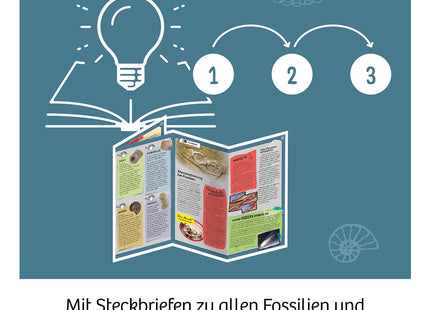 KOSMOS Fossilien – Ausgrabungs-Set ab 7 Jahren – Einblick in die bebilderte Anleitung zur Fossilien-Ausgrabung