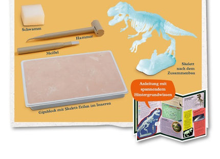 T-REX nachtleuchtend (Ausgrabungs-Set mit Werkzeug) - Experimentierkasten