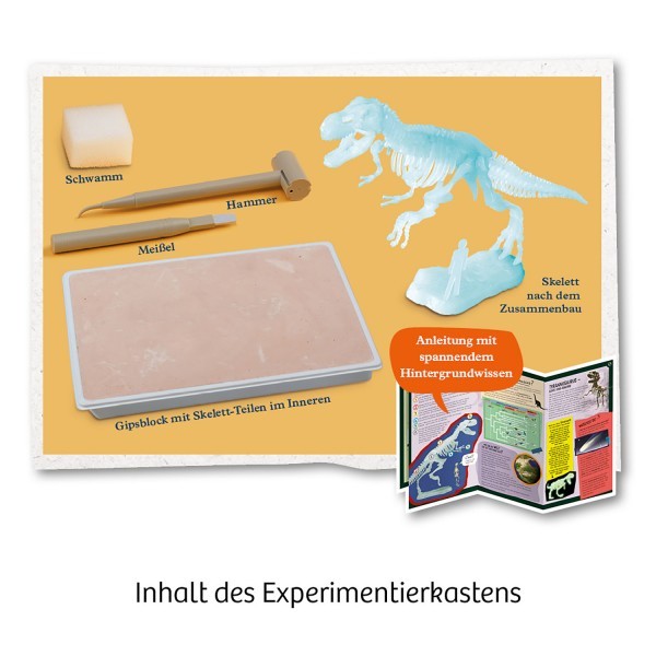 T-REX nachtleuchtend (Ausgrabungs-Set mit Werkzeug) - Experimentierkasten