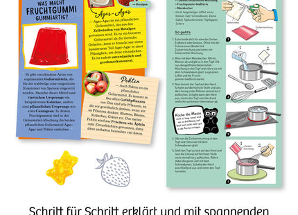 Fruchtgummi-Labor (Stelle eigene Gummi-Bonbons her) - Experimentierkasten
