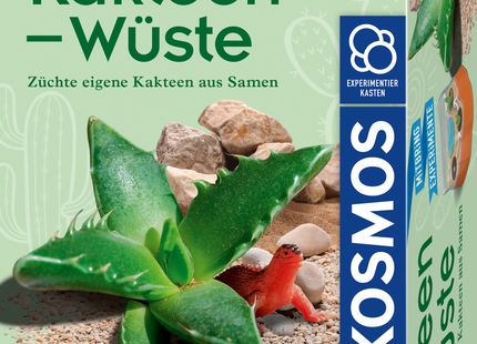 KOSMOS Kakteen-Wüste – Pflanzset ab 6 Jahren – Originalverpackung des Pflanzsets Kakteen-Wüste