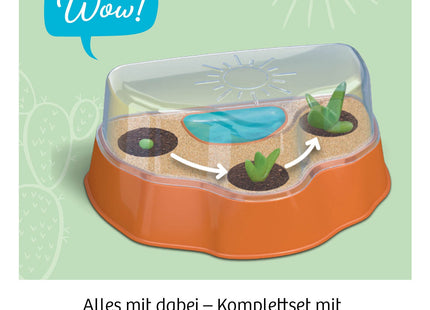 KOSMOS Kakteen-Wüste – Pflanzset ab 6 Jahren – Herstellerdarstellung des Gewächshauses und der Anzuchtbereiche