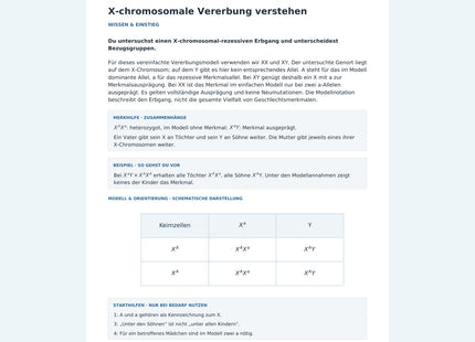 X-chromosomale Vererbung verstehen – Vorschau des Biologie-Arbeitsblatts