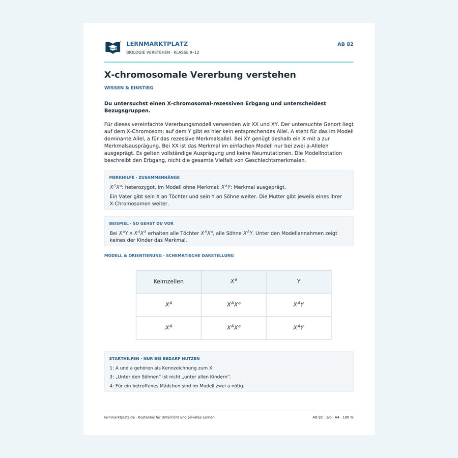 X-chromosomale Vererbung verstehen – Vorschau des Biologie-Arbeitsblatts