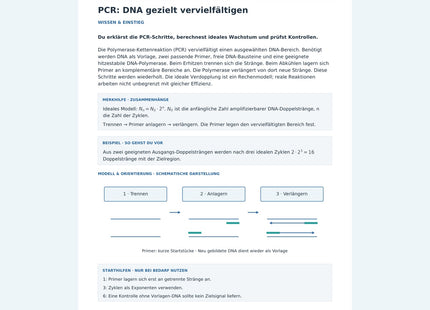 PCR: DNA gezielt vervielfältigen – Vorschau des Biologie-Arbeitsblatts