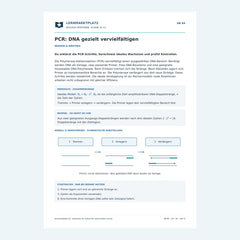 PCR: DNA gezielt vervielfältigen – kostenloses Biologie-Arbeitsblatt mit Lösungen (PDF)