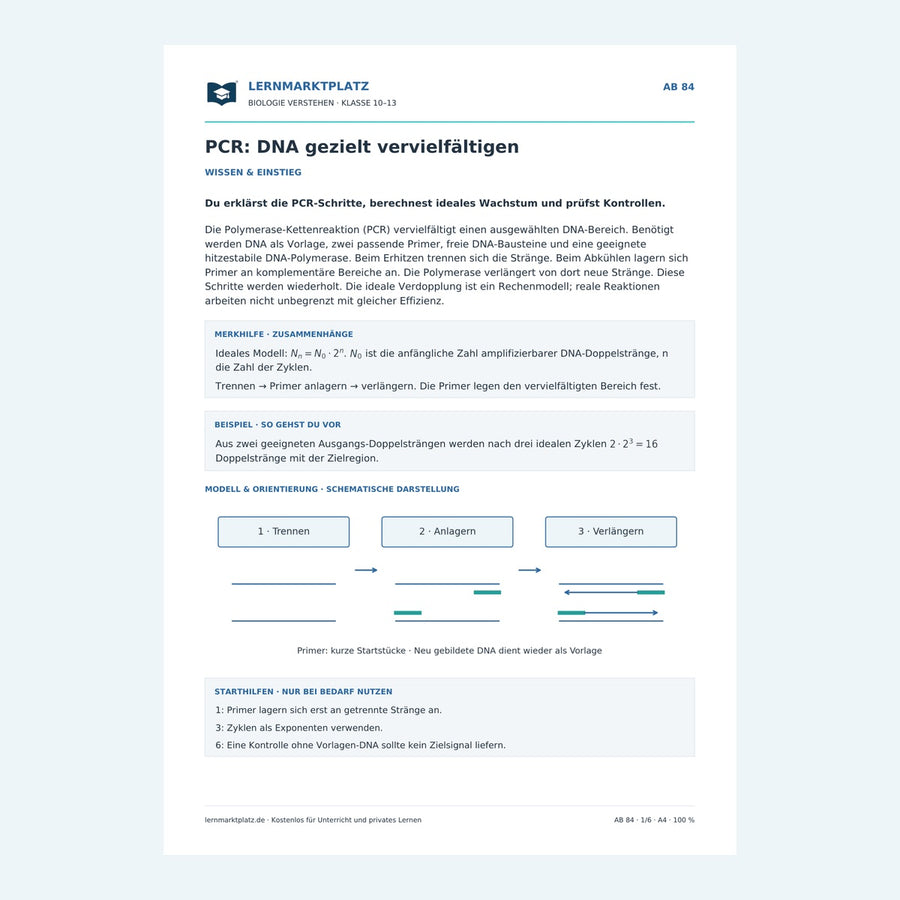 PCR: DNA gezielt vervielfältigen – Vorschau des Biologie-Arbeitsblatts