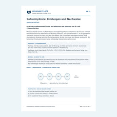Kohlenhydrate: Bindungen und Nachweise – kostenloses Chemie-Arbeitsblatt mit Lösungen (PDF)