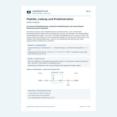 Peptide, Ladung und Proteinstruktur – kostenloses Chemie-Arbeitsblatt mit Lösungen (PDF)