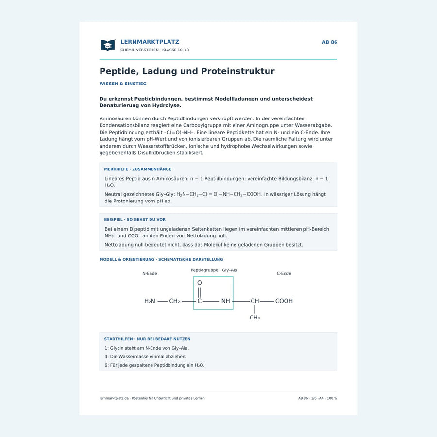 Peptide, Ladung und Proteinstruktur