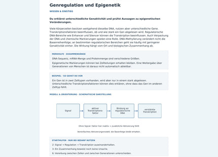 Genregulation und Epigenetik – Vorschau des Biologie-Arbeitsblatts