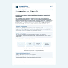 Genregulation und Epigenetik – kostenloses Biologie-Arbeitsblatt mit Lösungen (PDF)