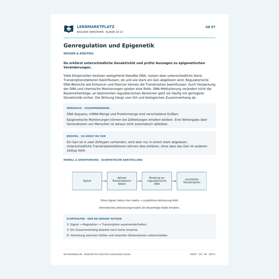 Genregulation und Epigenetik – Vorschau des Biologie-Arbeitsblatts