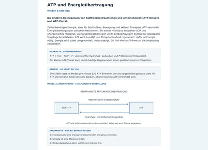 ATP und Energieübertragung – Vorschau des Biologie-Arbeitsblatts
