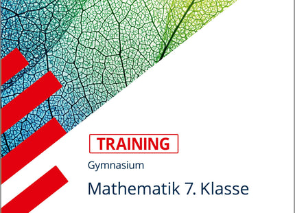 STARK Mathematik 7. Klasse - Training Gymnasium - Grundwissen, Aufgaben und Lösungen