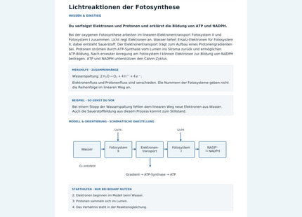 Lichtreaktionen der Fotosynthese – Vorschau des Biologie-Arbeitsblatts