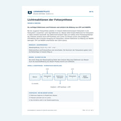 Lichtreaktionen der Fotosynthese – kostenloses Biologie-Arbeitsblatt mit Lösungen (PDF)