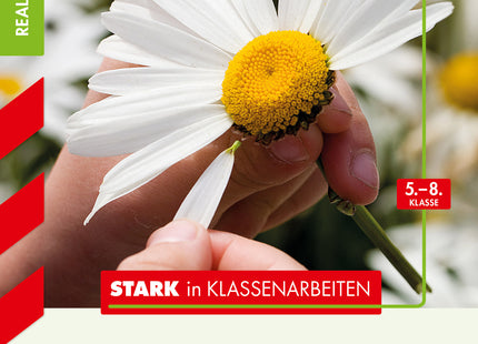 STARK Mathematik 5.-8. Klasse - STARK in Klassenarbeiten Realschule - Brüche und Dezimalbrüche