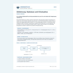 Zellatmung: Glykolyse und Citratzyklus – kostenloses Biologie-Arbeitsblatt mit Lösungen (PDF)
