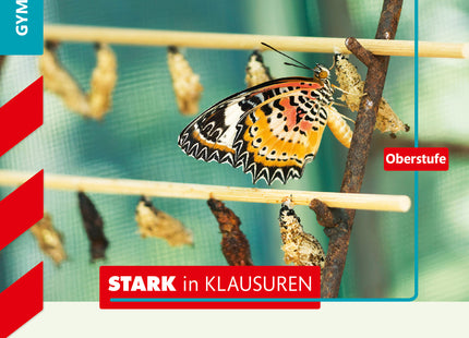 STARK Mathematik Oberstufe - STARK in Klausuren - Prozesse und Matrizen