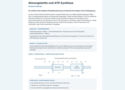 Atmungskette und ATP-Synthase – Vorschau des Biologie-Arbeitsblatts