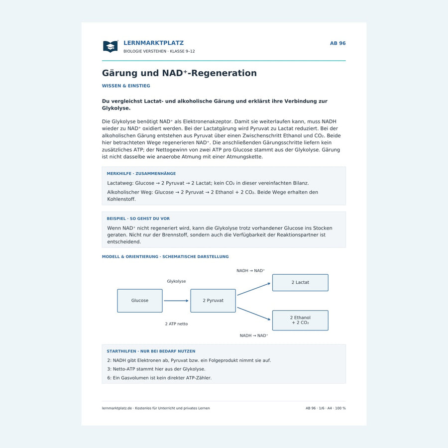 Gärung und NAD⁺-Regeneration – Vorschau des Biologie-Arbeitsblatts