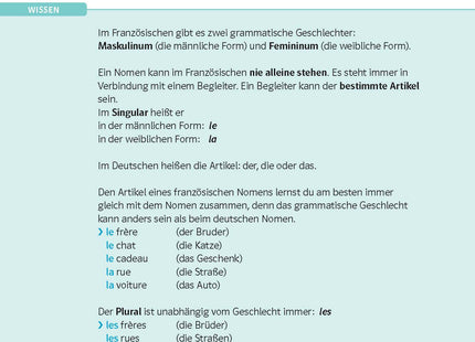 Blick ins Buch – Regeln und Beispiele zu Nomen und Artikeln