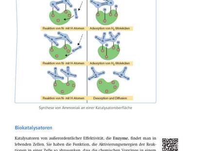 Klett Sicher im Abi Oberstufen-Wissen Chemie