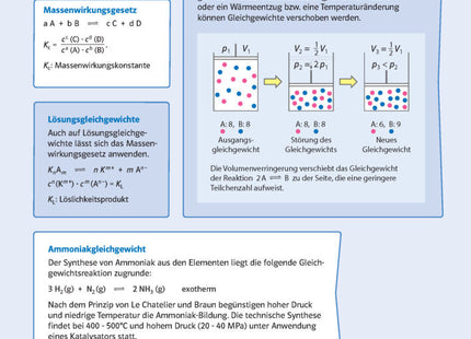 Klett Sicher im Abi Oberstufen-Wissen Chemie