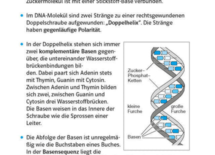 Klett Abi last minute Biologie - Wissen schnell auffrischen für Oberstufe und Abitur
