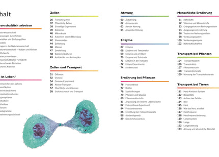 Blick ins Buch – Inhaltsübersicht Biologie