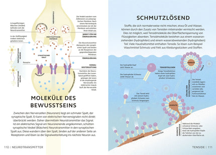 Blick ins Buch – Oxidationszahlen sowie Moleküle des Bewusstseins