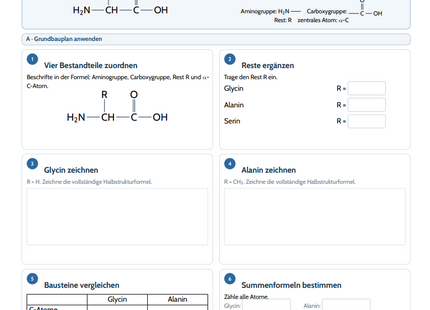 Aminosäuren, Peptidbindung & Proteine – kostenloses Chemie-Arbeitsblatt mit Lösungen (PDF)