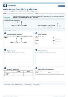 Aminosäuren, Peptidbindung & Proteine – kostenloses Chemie-Arbeitsblatt mit Lösungen (PDF)