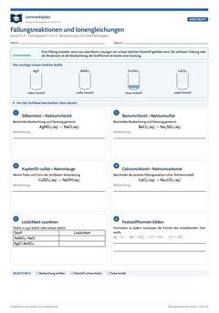 Fällungsreaktionen & Ionengleichungen – kostenloses Chemie-Arbeitsblatt mit Lösungen (PDF)
