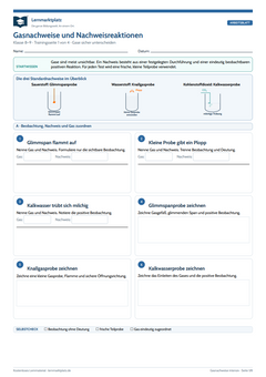 Gasnachweise & Nachweisreaktionen – kostenloses Chemie-Arbeitsblatt mit Lösungen (PDF)