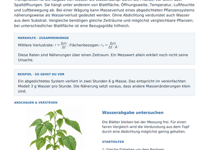 Transpiration untersuchen und auswerten – kostenloses Biologie-Arbeitsblatt mit Lösungen (PDF)