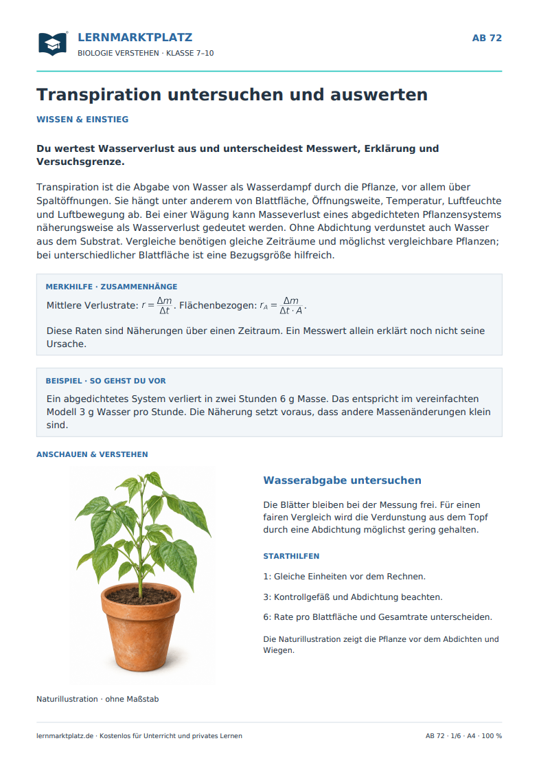 Transpiration untersuchen und auswerten – kostenloses Biologie-Arbeitsblatt mit Lösungen (PDF)