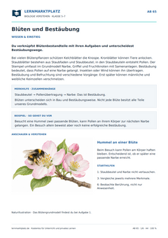 Blüten und Bestäubung – kostenloses Biologie-Arbeitsblatt mit Lösungen (PDF)