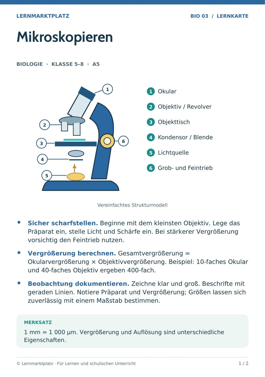 Biologie: Mikroskopieren – überarbeitete A5-Lernkarte
