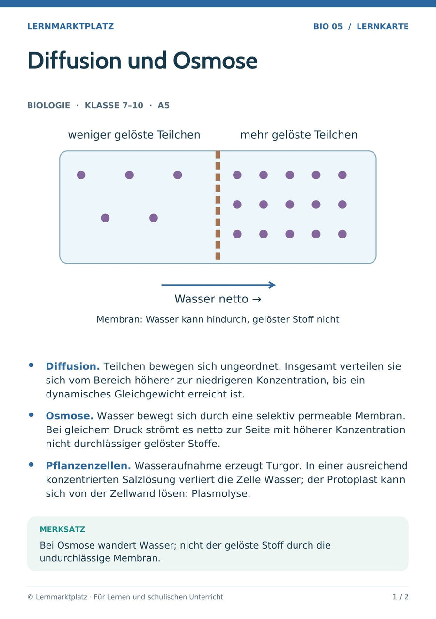 Biologie: Diffusion und Osmose – überarbeitete A5-Lernkarte