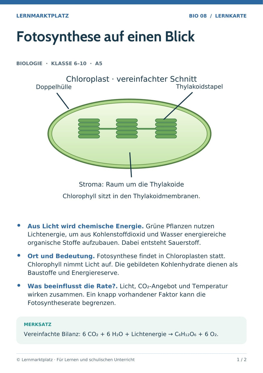 Biologie: Fotosynthese auf einen Blick – überarbeitete A5-Lernkarte